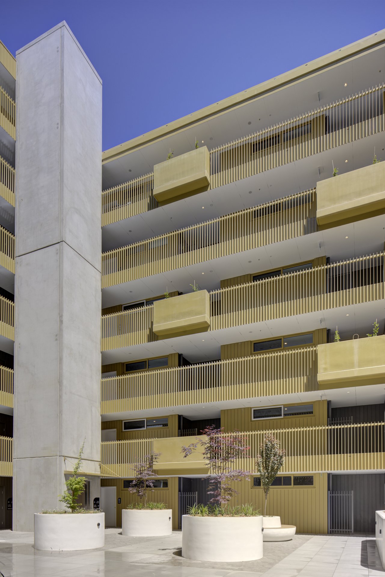 JUDD_Boulevard_003106.JPG