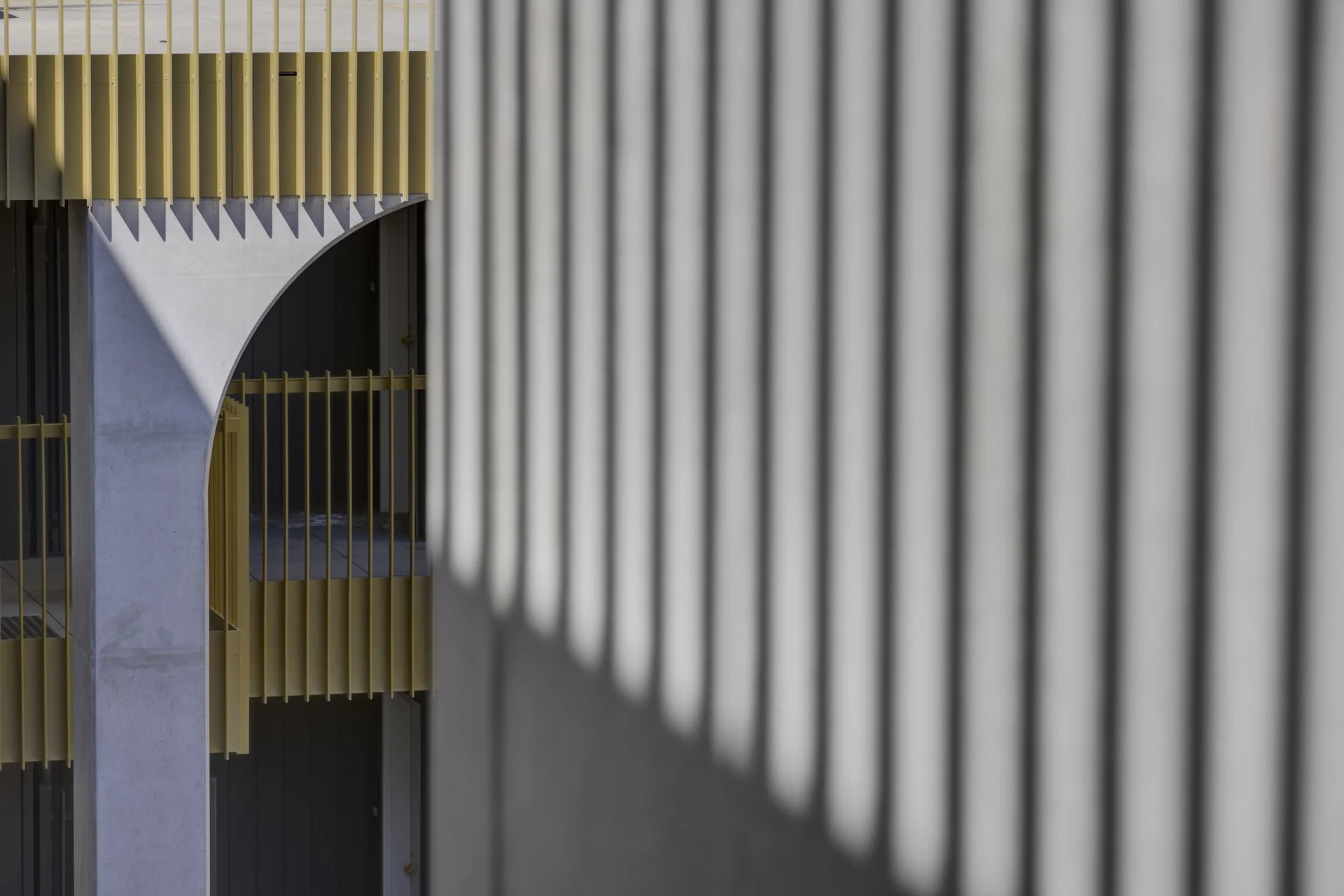 JUDD_Boulevard_002435.JPG