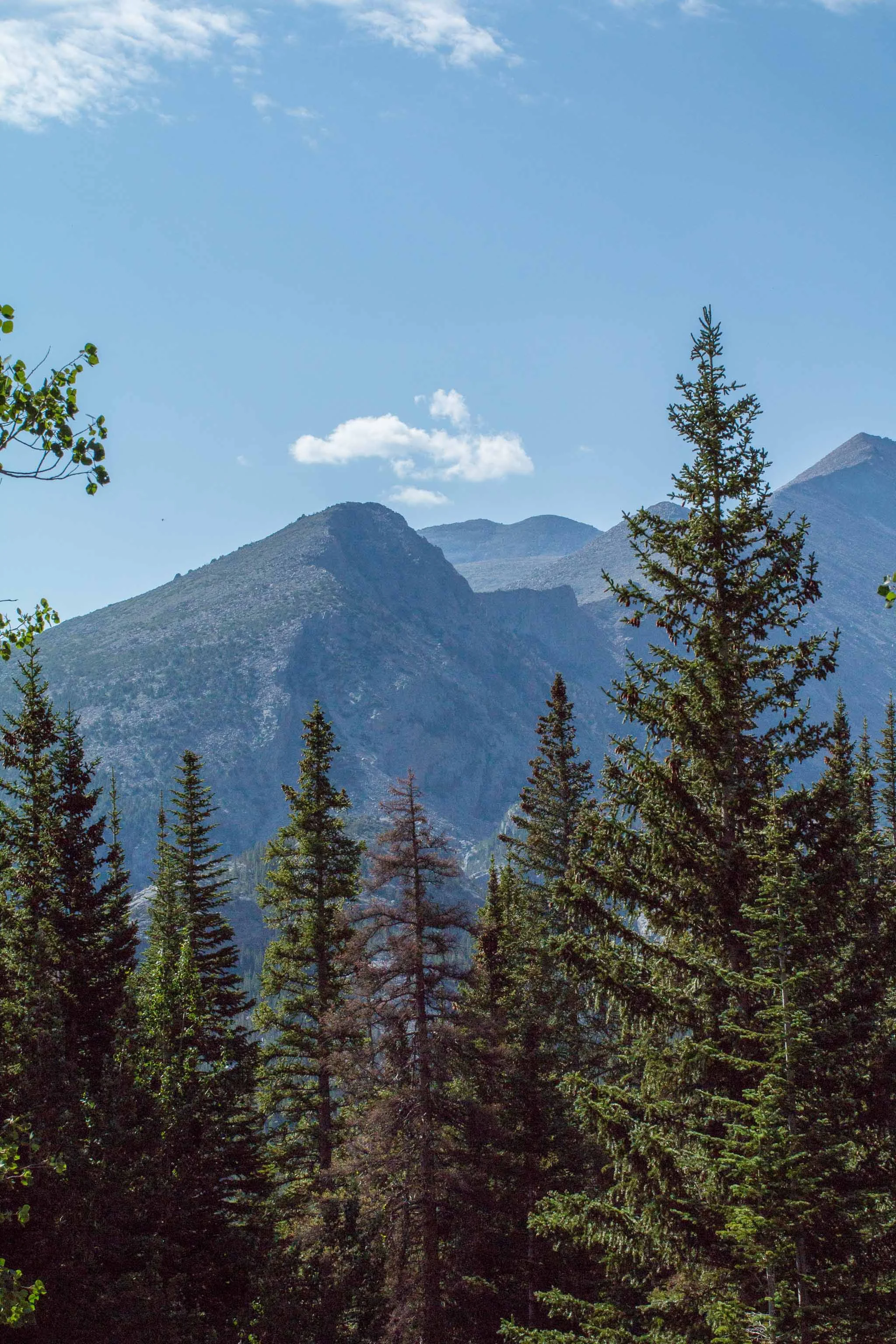 Mountains in the Park