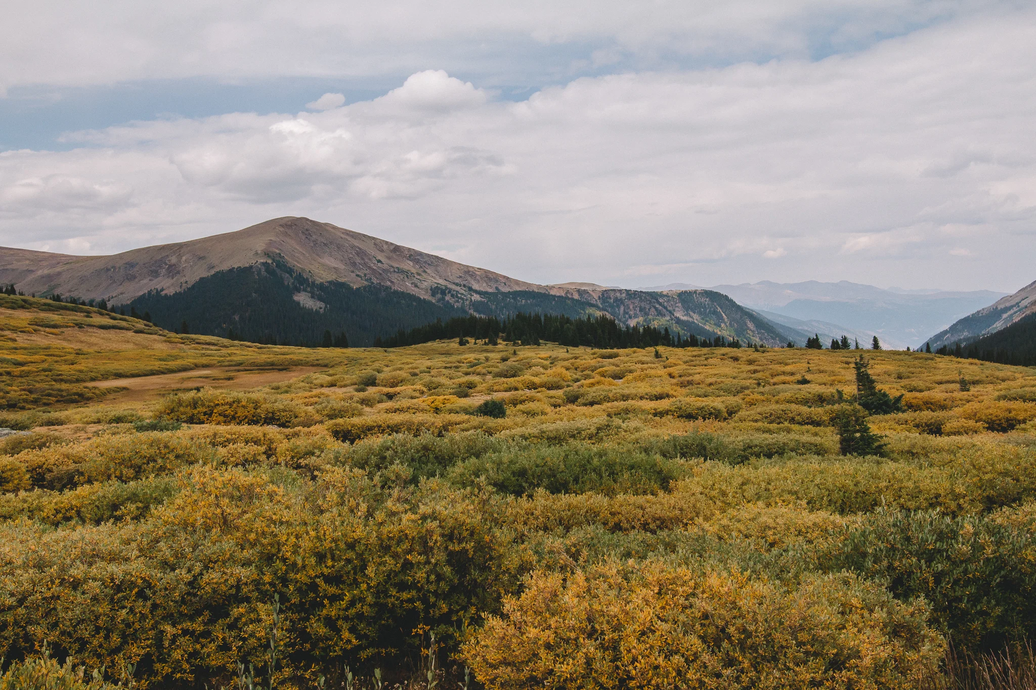 Guanella Pass 3