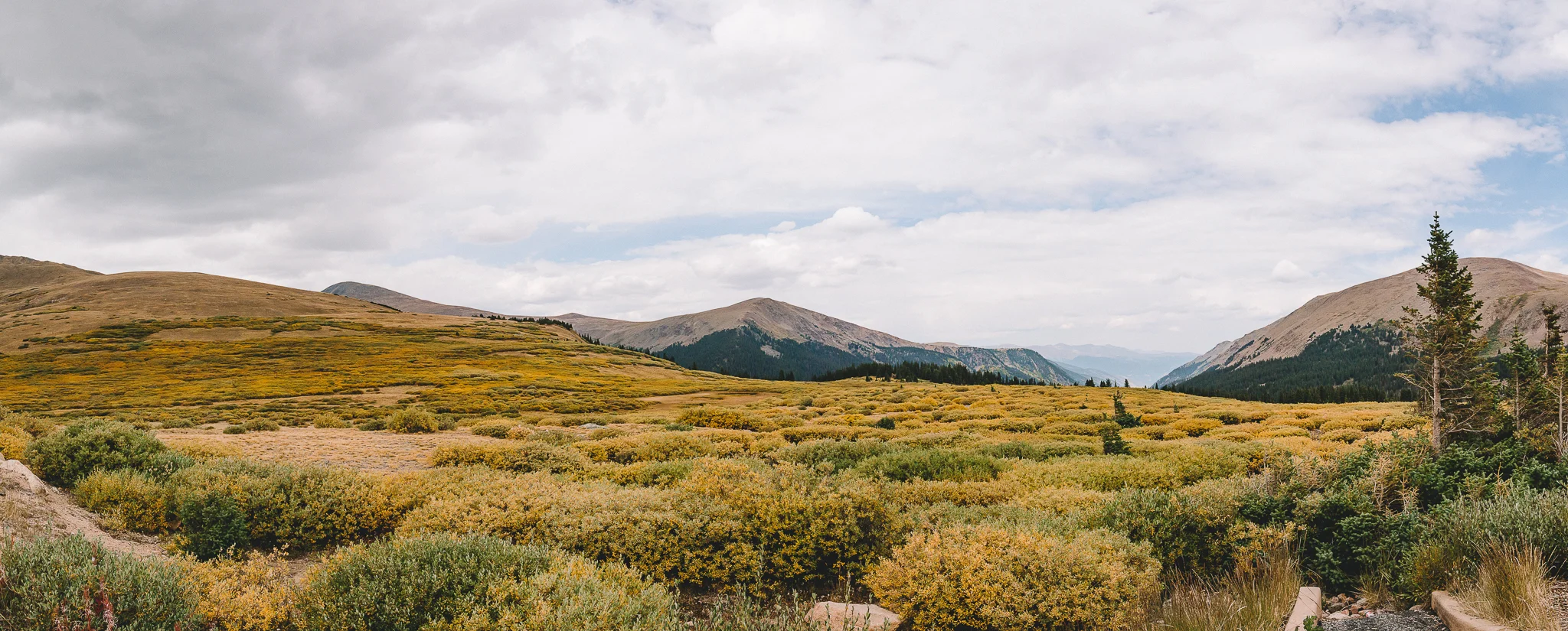 Guanella Pass 4