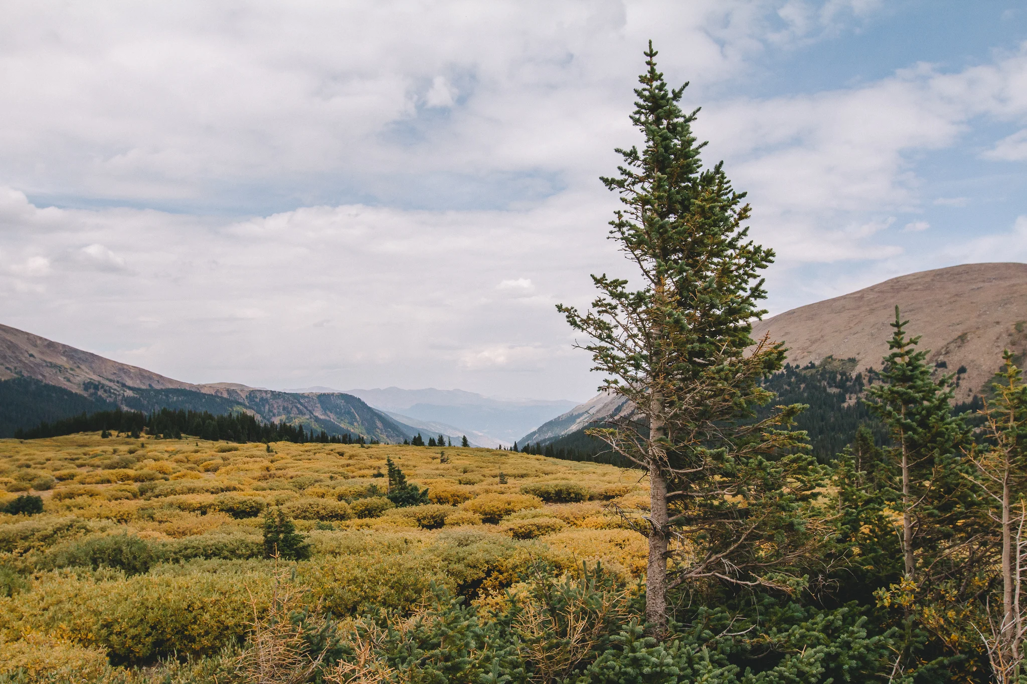 Guanella Pass 5