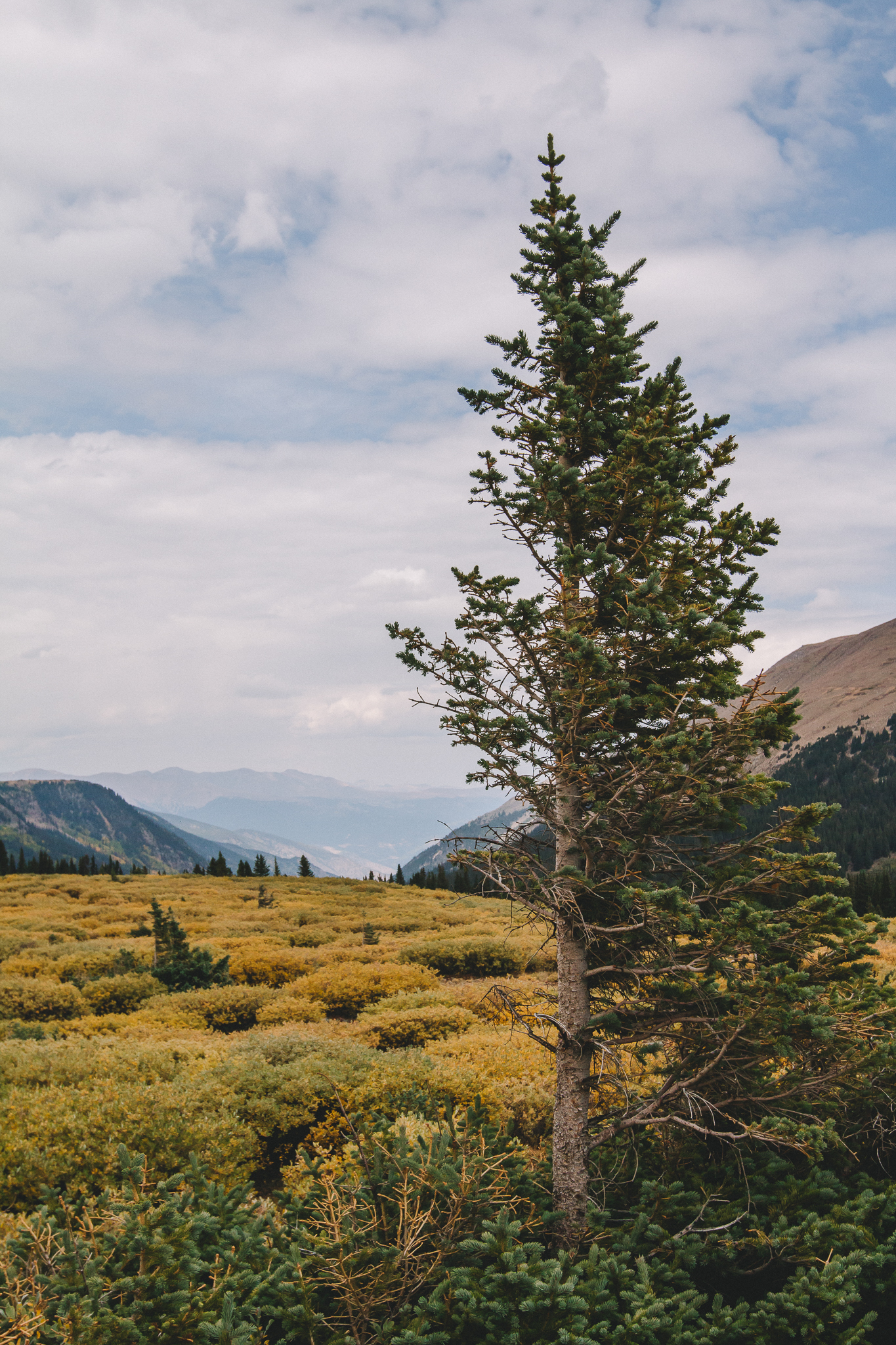 Guanella Pass 6