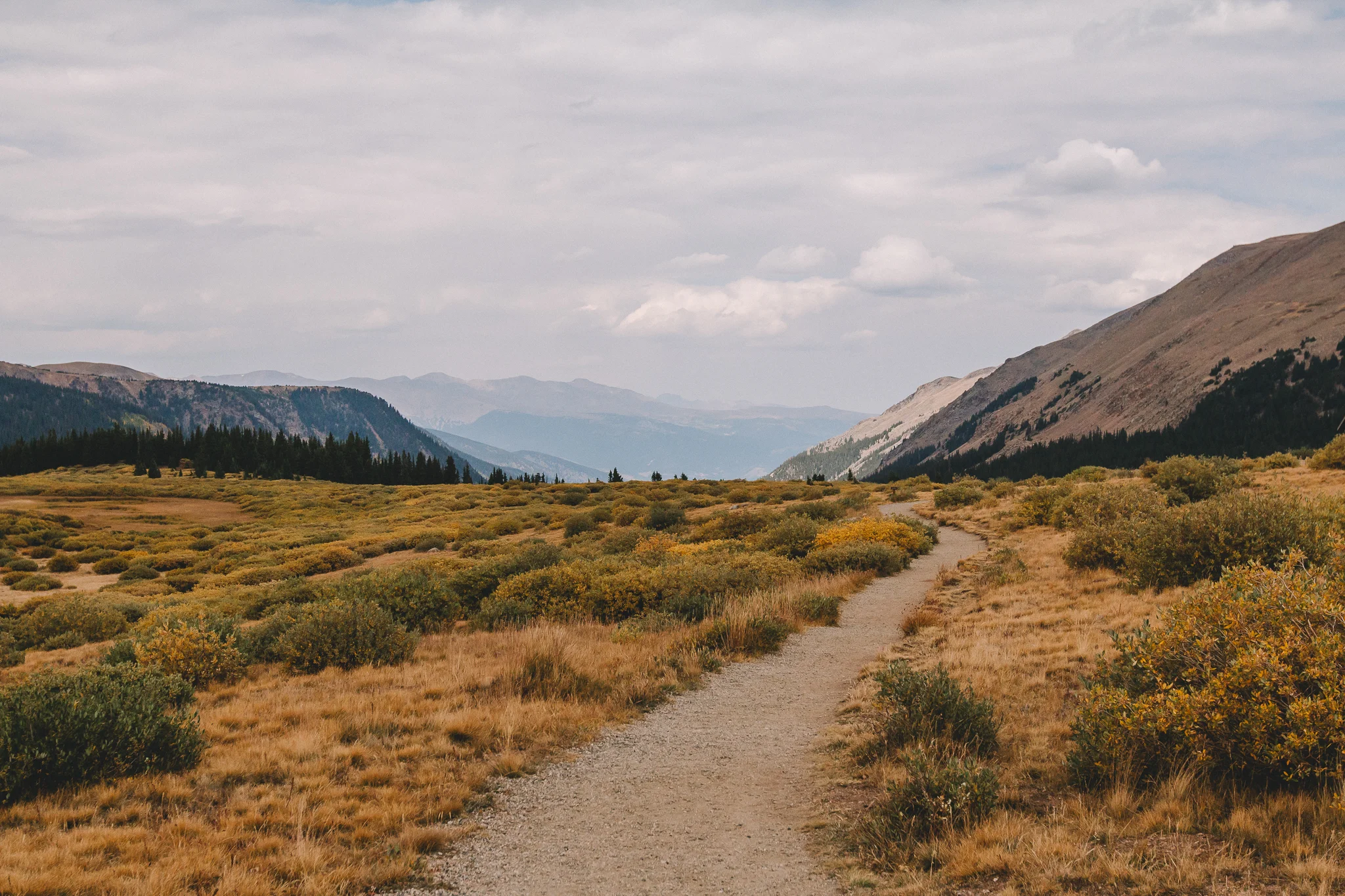 Guanella Pass 7