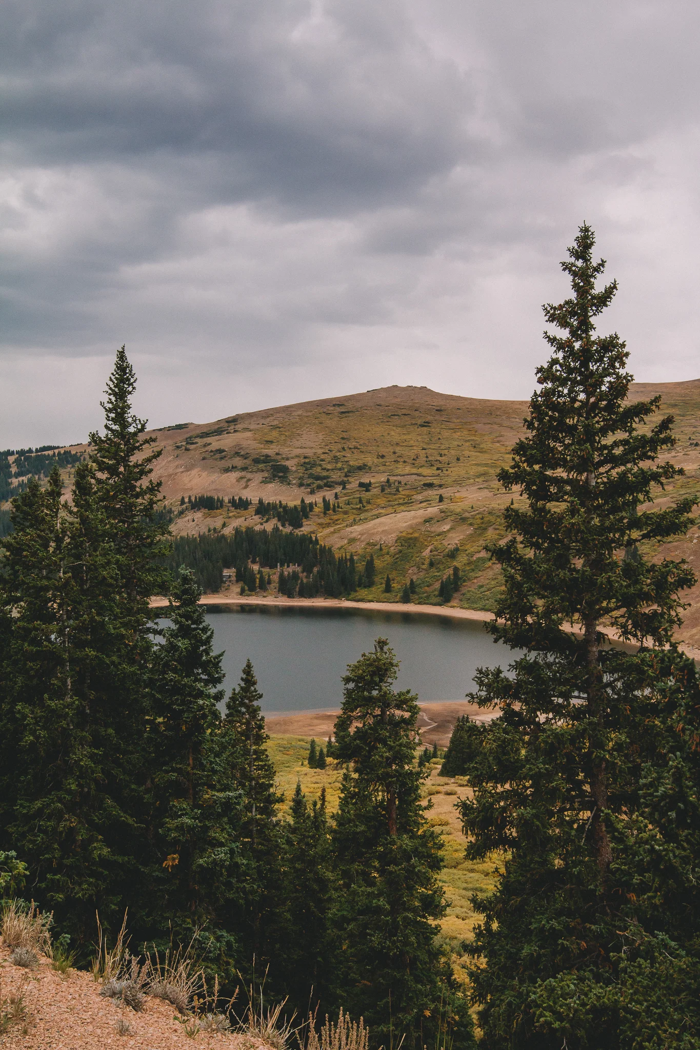 Roadside Lake 3