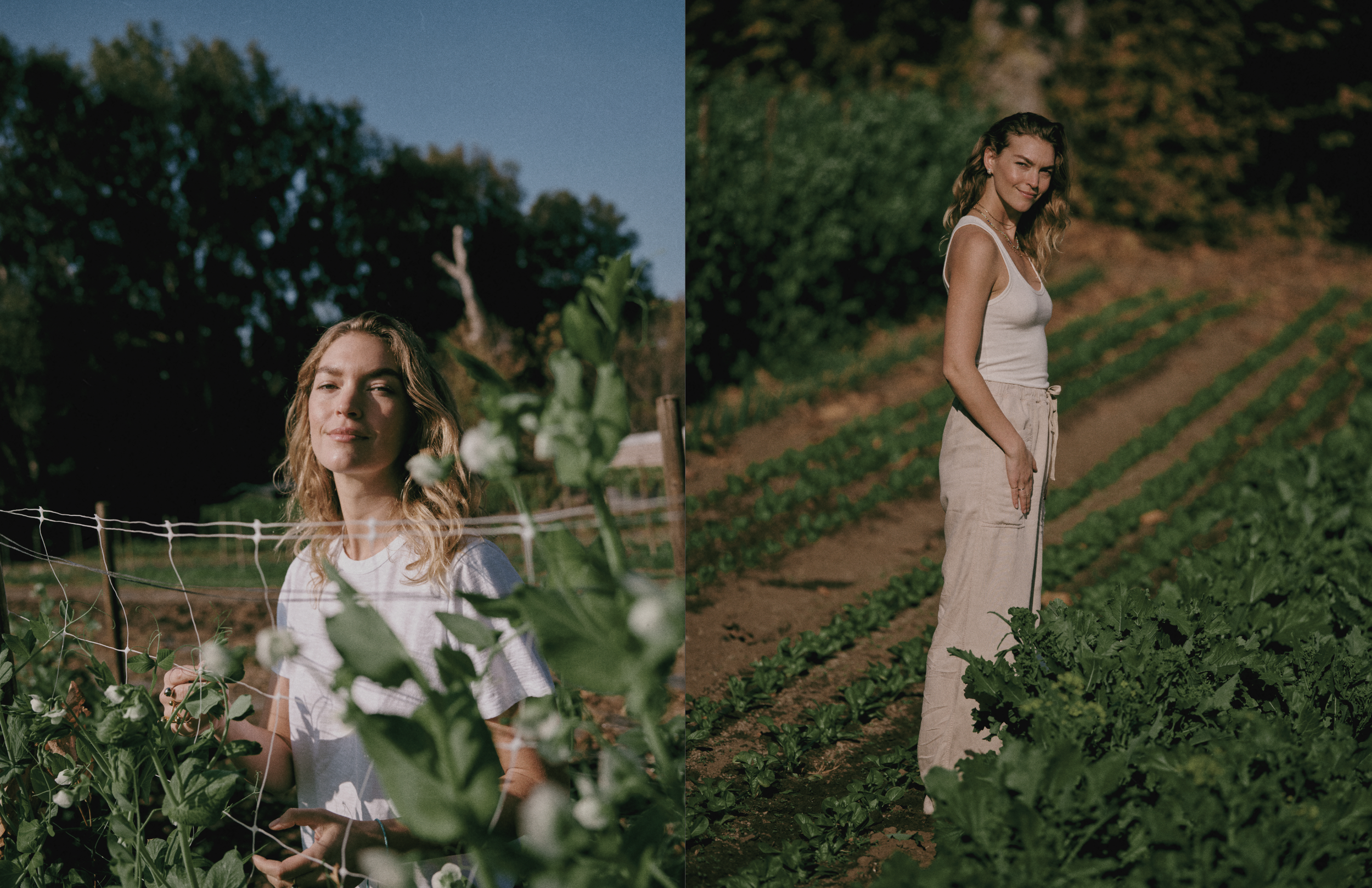 Screen Shot 2025-08-18 at 8.30.08 PM.png