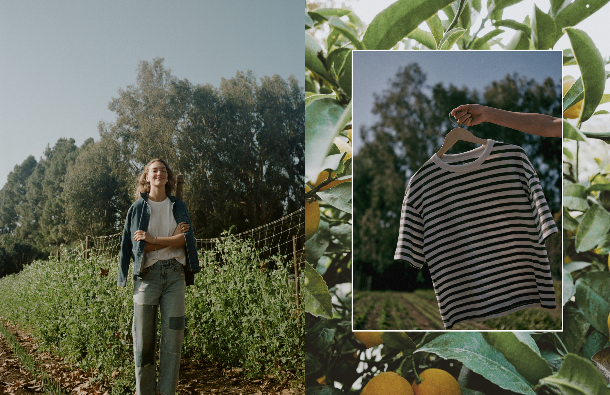 Screen Shot 2025-08-18 at 8.25.48 PM.png