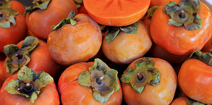 persimmons.jpg