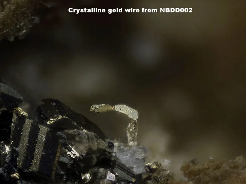 Crystalline gold wire from NBDD002