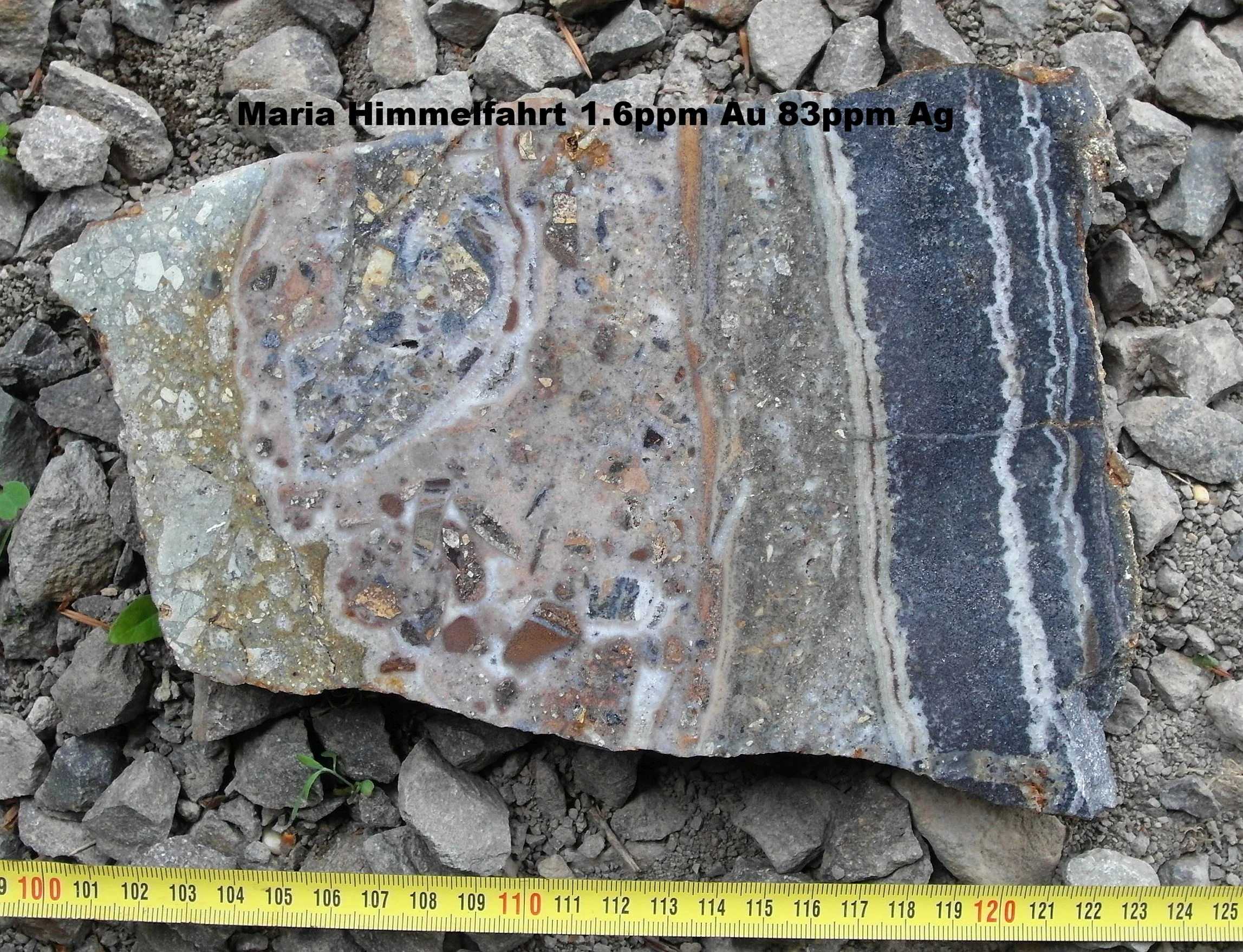 maria himmelfahrt PR0255 Au1.6ppm83ppmAg.jpg