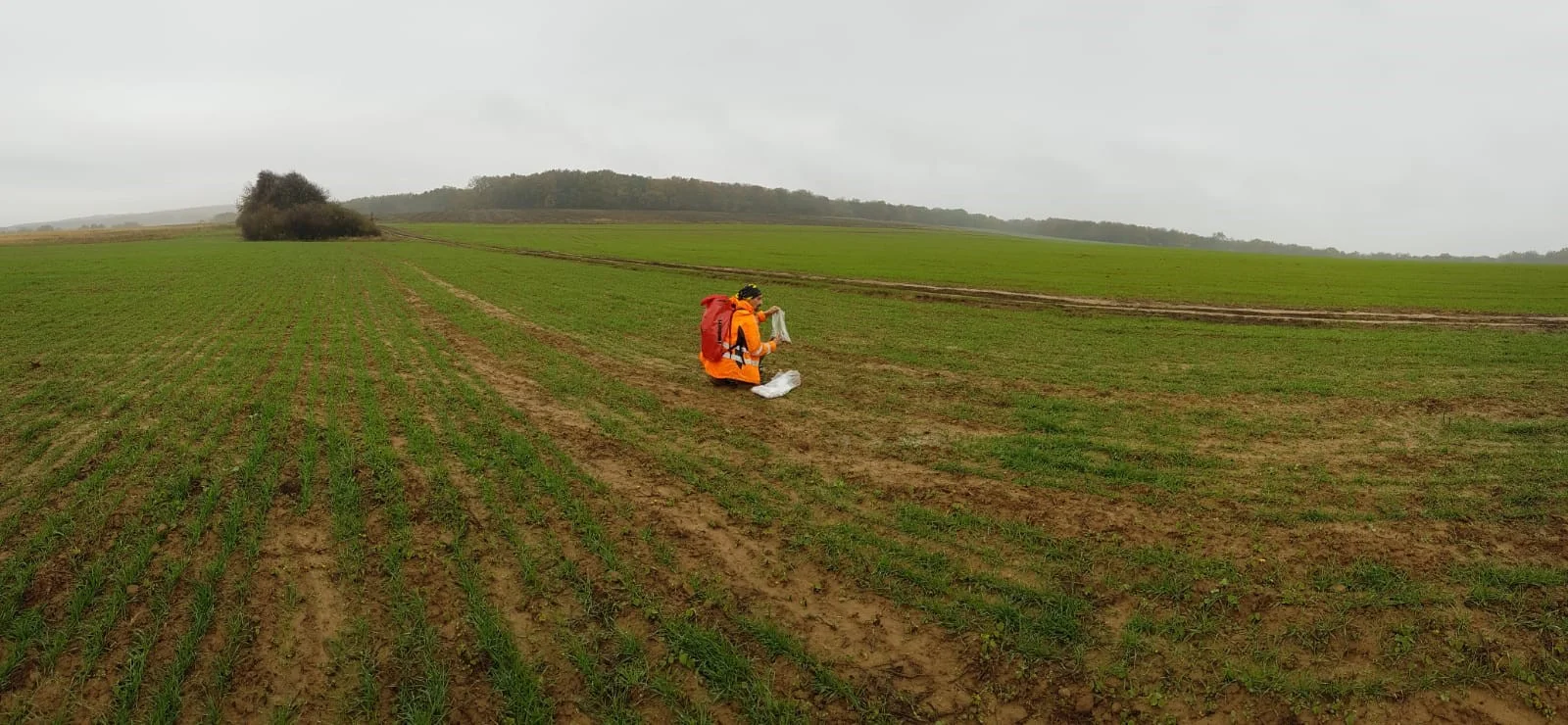 Ionic leach sampling over gold silver target at Cejkov