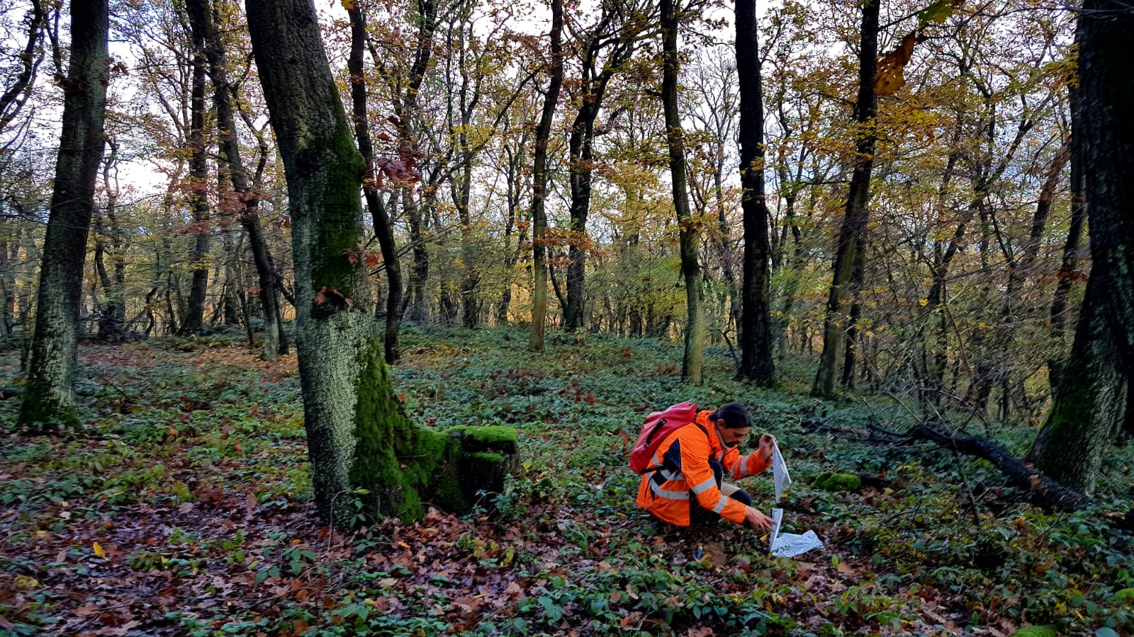 Soil sampling at Cejkov-Zemplin