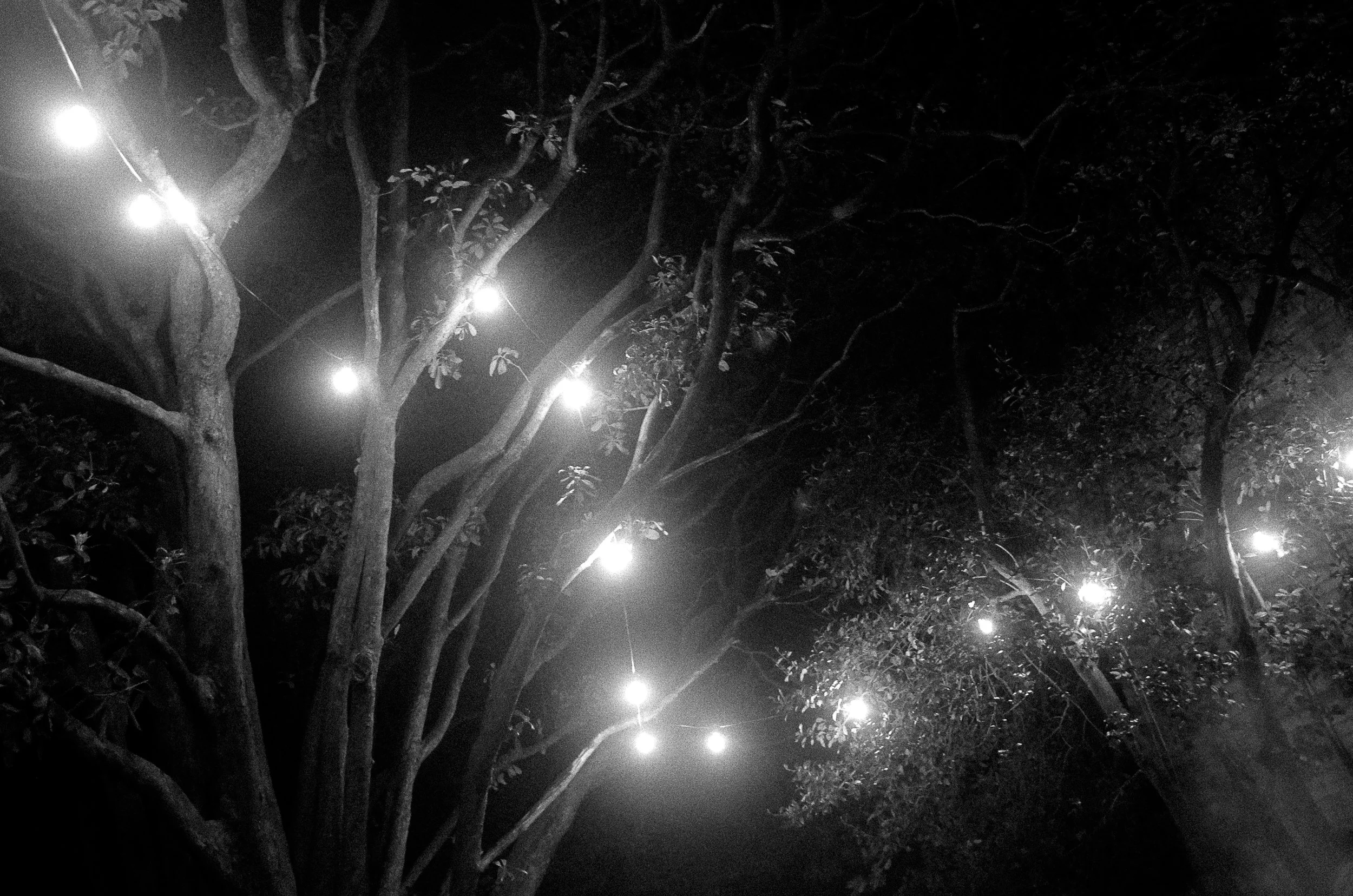 Sooki Lounge  (3 of 10).jpg