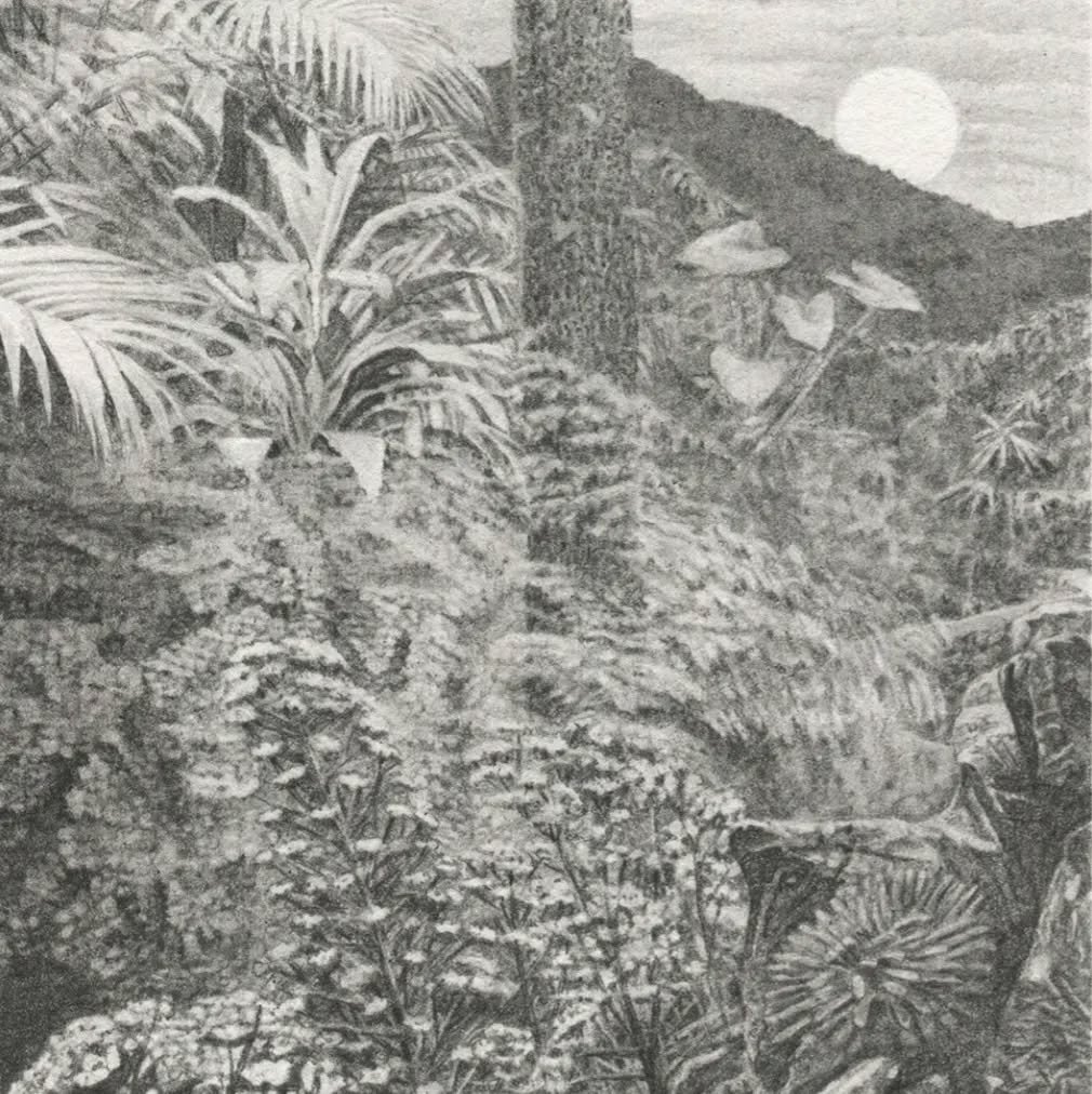 '𝘈 𝘱𝘭𝘢𝘤𝘦 𝘐 𝘧𝘰𝘳𝘨𝘰𝘵'
graphite pencil &amp; 24kt gold leaf on paper
33x40cm
(private collection)

#contemporarydrawing #contemporaryrealism #worksonpaper #drawing #graphitedrawing #graphiteonpaper #drawingnow  #disegno #minatureart #beccors