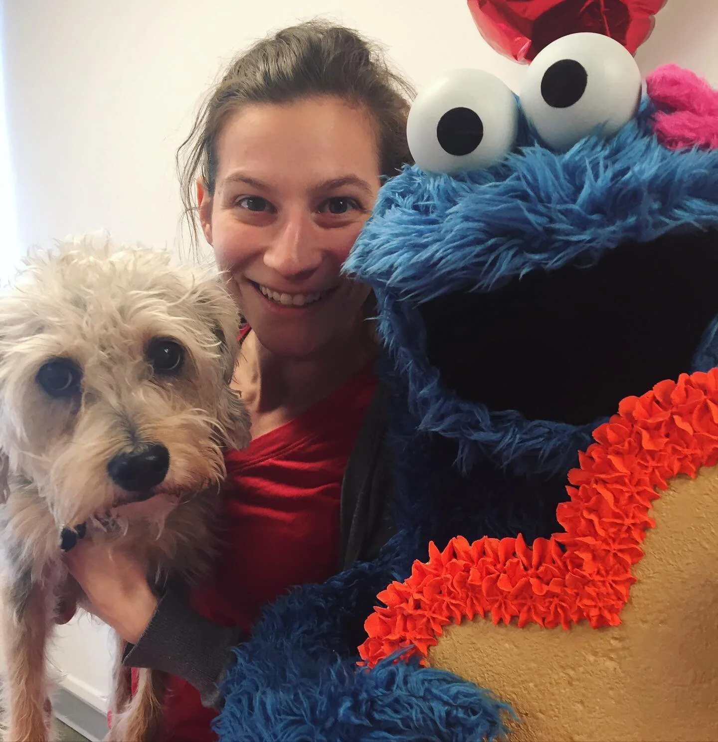 Cookie for you. Cookie for me. Cookie for everyone! Taste testing #valentinesdaycookies with the master.

#cookiemonster #muppetmaeby #tastetesters #valentinesday
