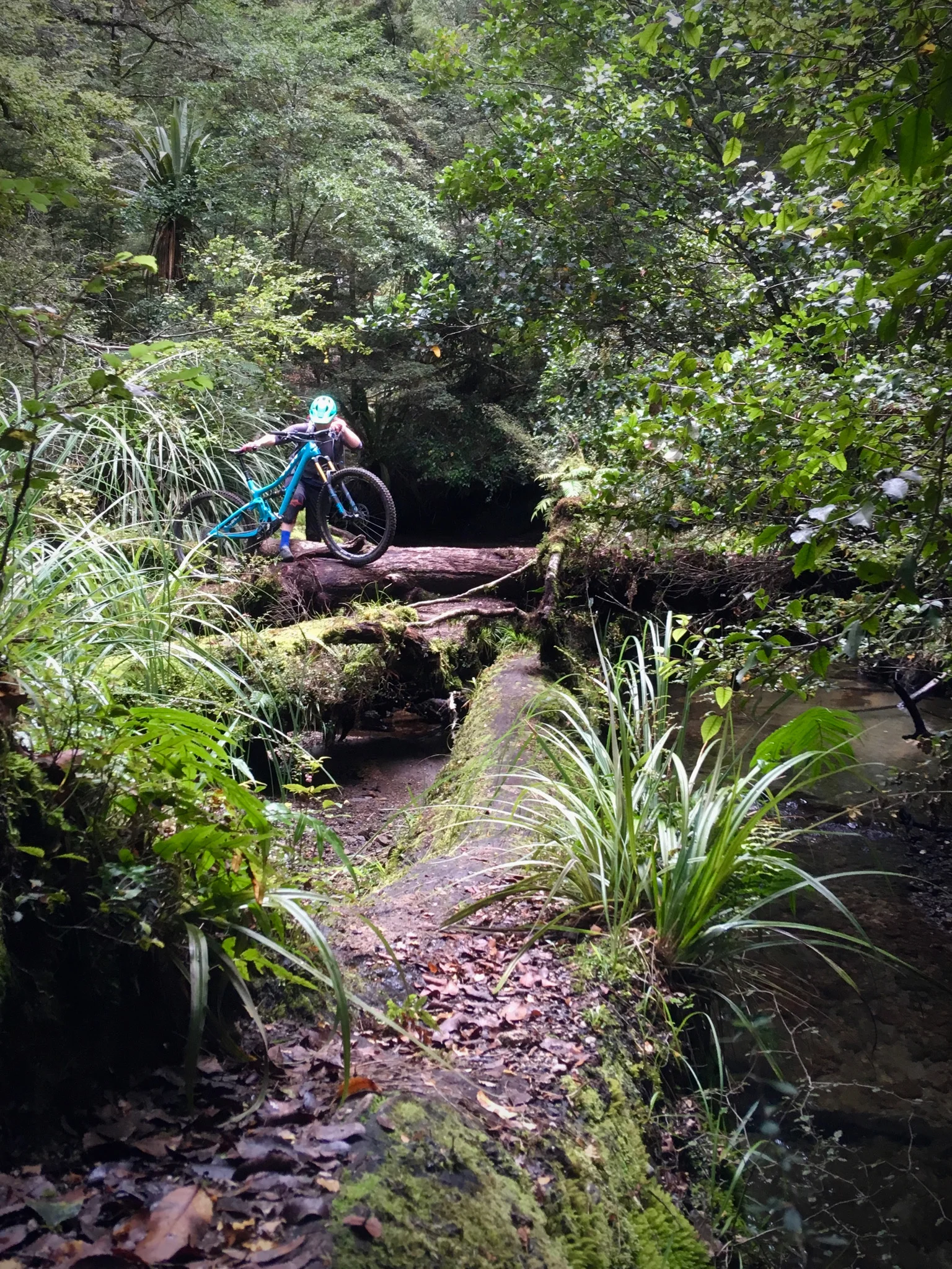 Te-Iringa-Bike-packing-trail-features.jpg