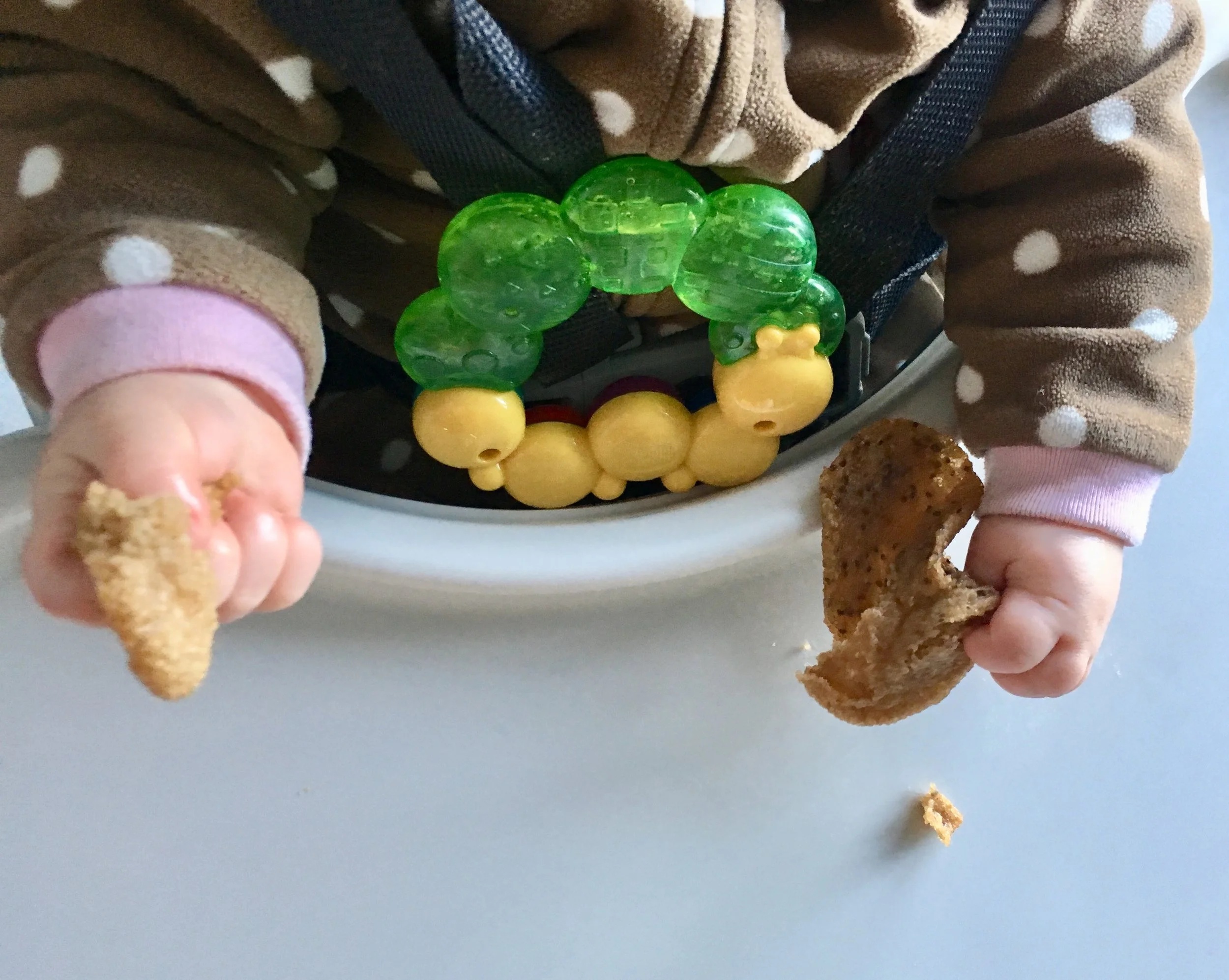 Amaranth Biscuits.jpg