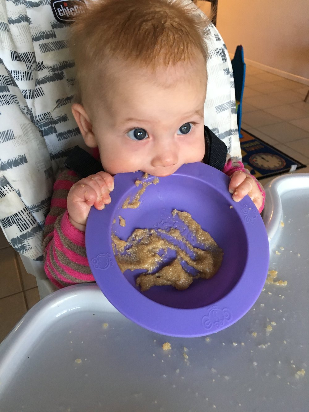 Introduction To Solids Online Course | Pediatric Nutrition Expert ...