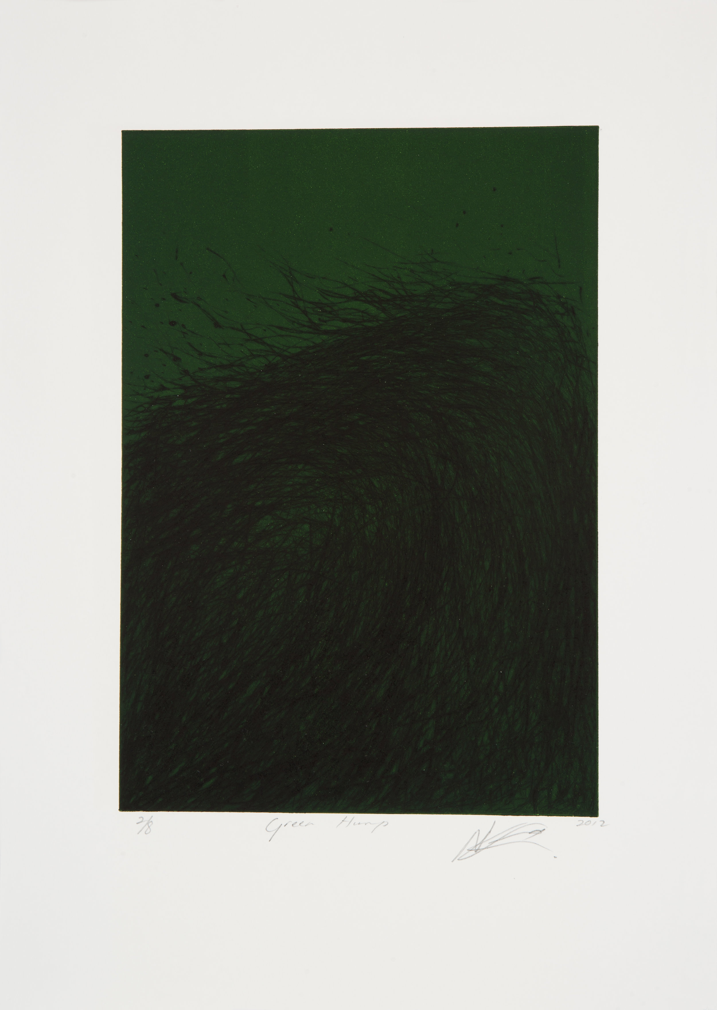   NANDIPHA MNTAMBO     Green Hump, 2012    Dry Point Etching (Edition of 8)  43cm x 31 cm 
