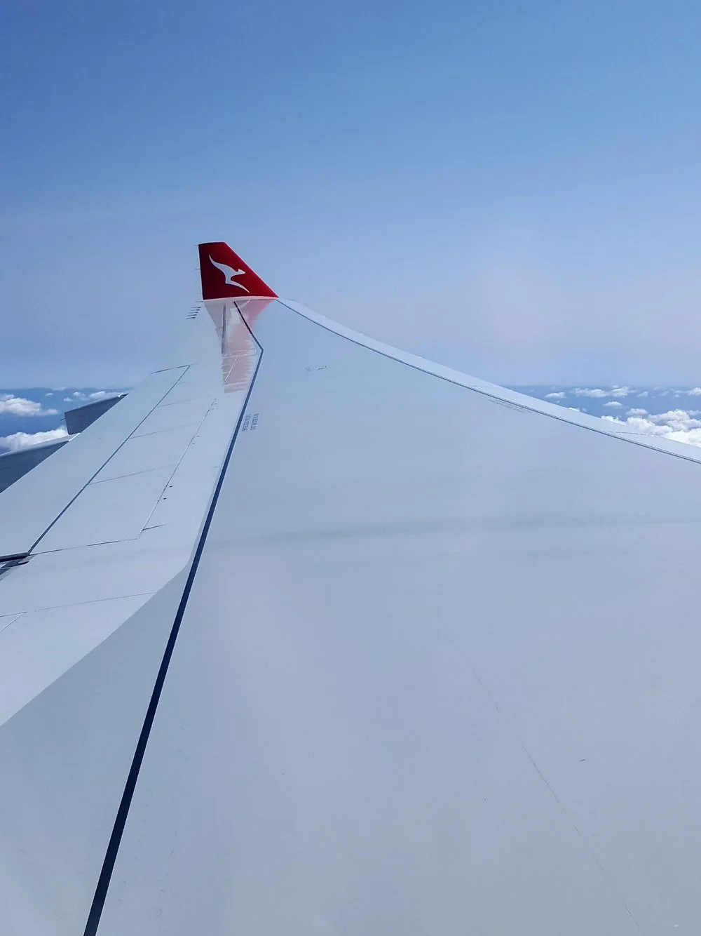 qantas-wing.jpeg