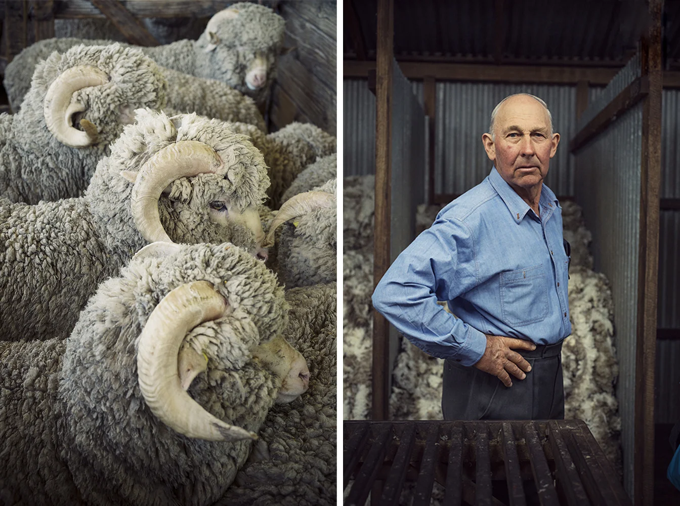 Eleveur de moutons - Loro Piana - Australie