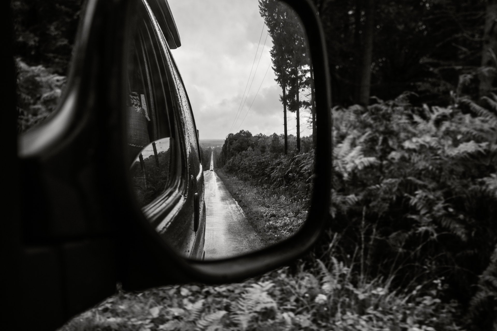  En route, vers la forêt de Brocéliande. Collectif le Bal des Rejetons 