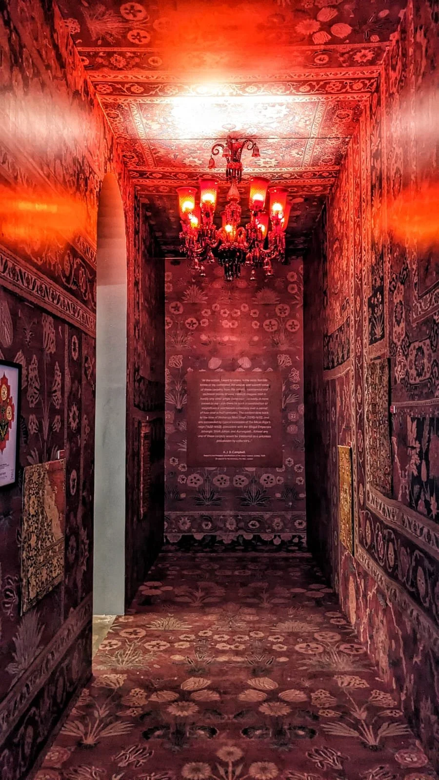 WhatsApp Image 2023-03-13 at 12.56.13 AM (1).jpeg