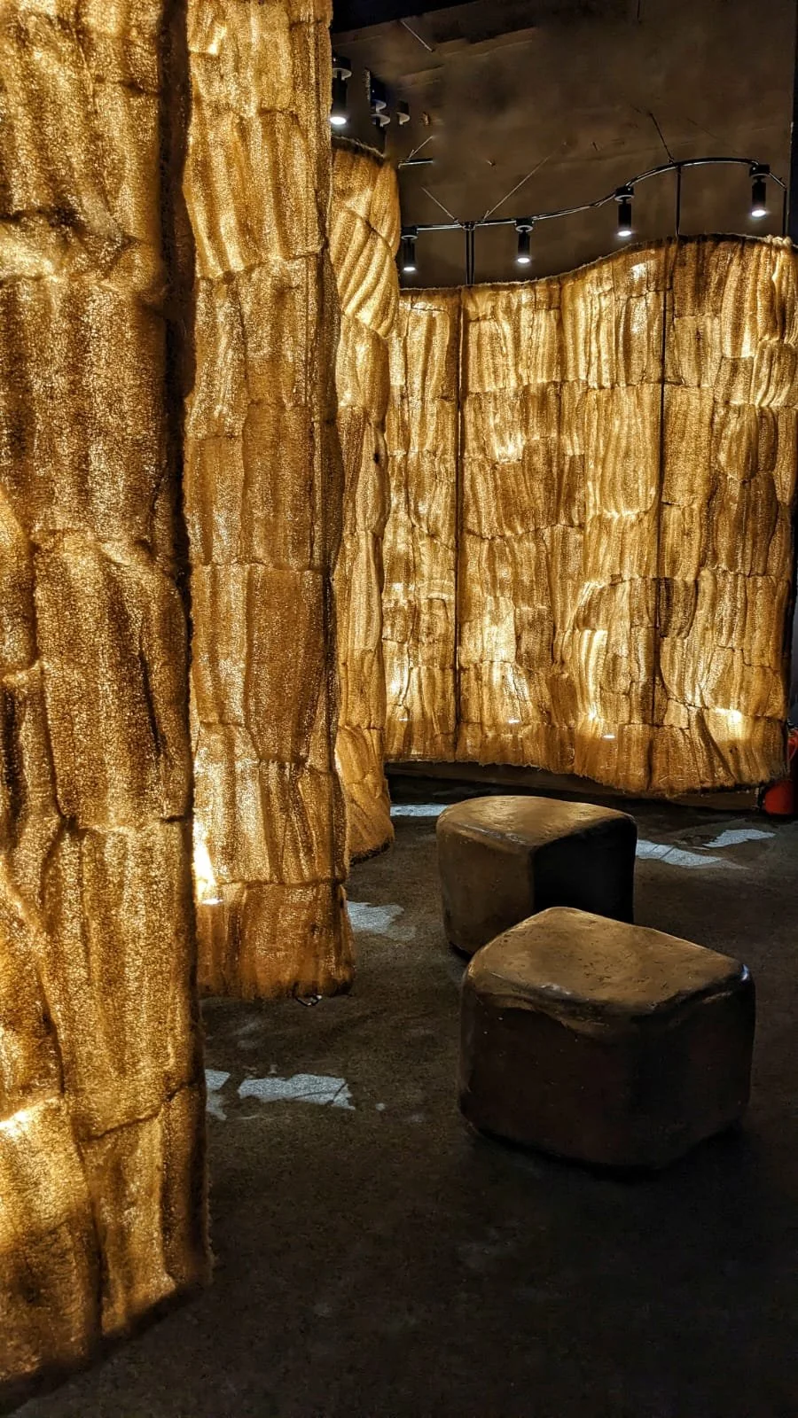 WhatsApp Image 2023-03-13 at 12.56.17 AM (1).jpeg