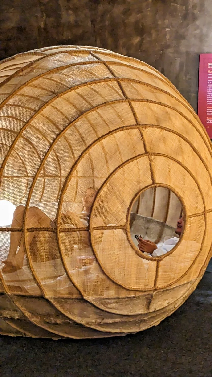 WhatsApp Image 2023-03-13 at 12.56.17 AM (2).jpeg