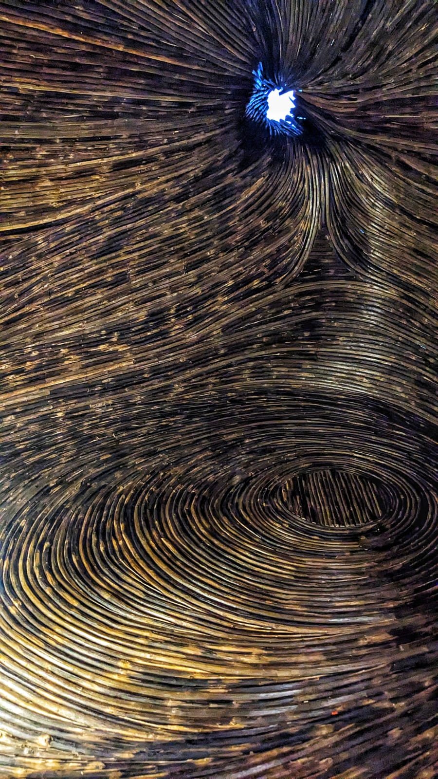 WhatsApp Image 2023-03-13 at 12.56.14 AM.jpeg