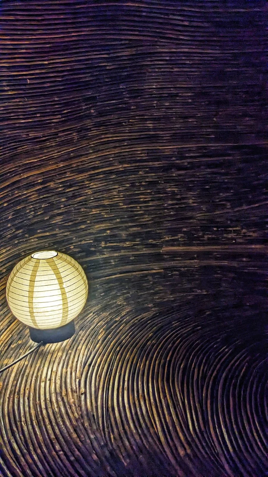 WhatsApp Image 2023-03-13 at 12.56.13 AM.jpeg