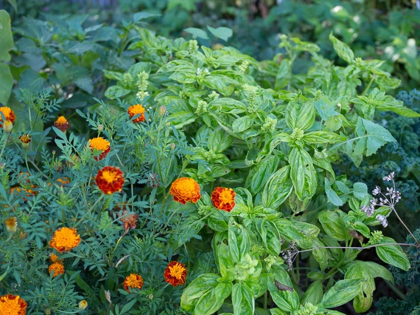 Retreat Eco Villa Unique Accommodation Boutique Hotel-39.jpg