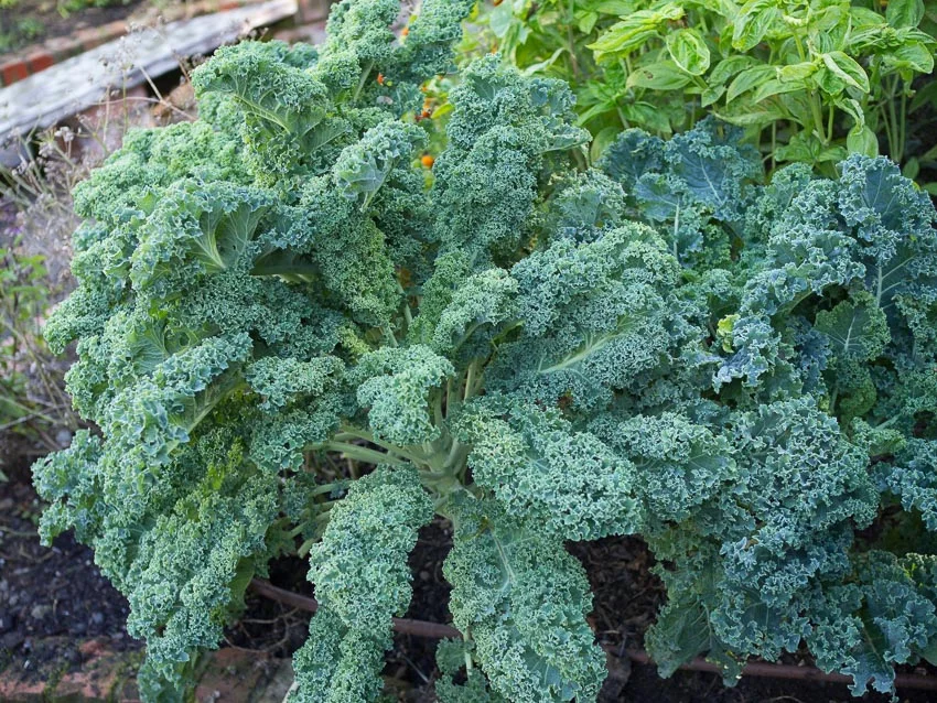 Retreat Eco Villa Unique Accommodation Boutique Hotel-43.jpg