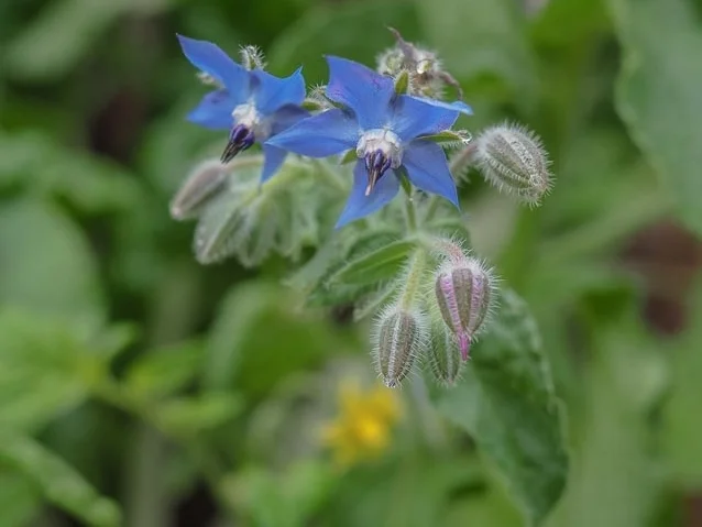 Retreat Eco Villa Unique Accommodation Boutique Hotel-8.jpg