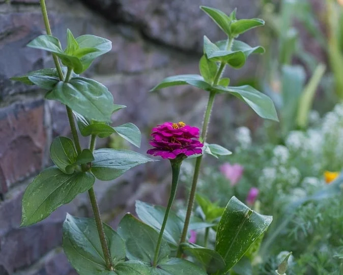 Retreat Eco Villa Unique Accommodation Boutique Hotel-35.jpg