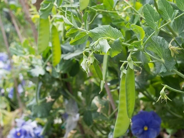 Retreat Eco Villa Unique Accommodation Boutique Hotel-28.jpg