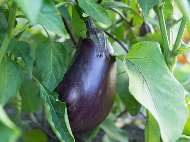 Retreat Eco Villa Unique Accommodation Boutique Hotel-42.jpg