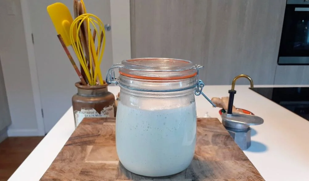 My starter with yeatsy bubbles