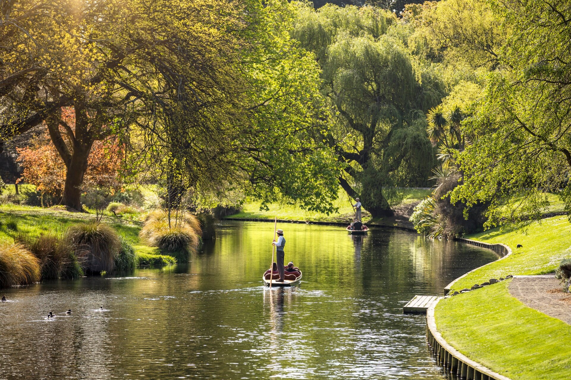Punting on the Avon River