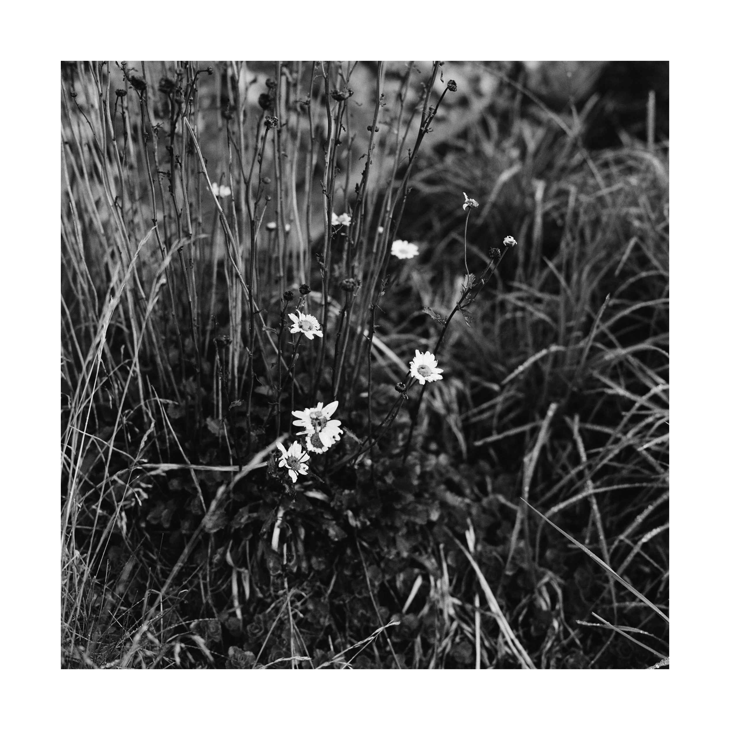 Portfolio_SqSp_StianFoss_015.jpg
