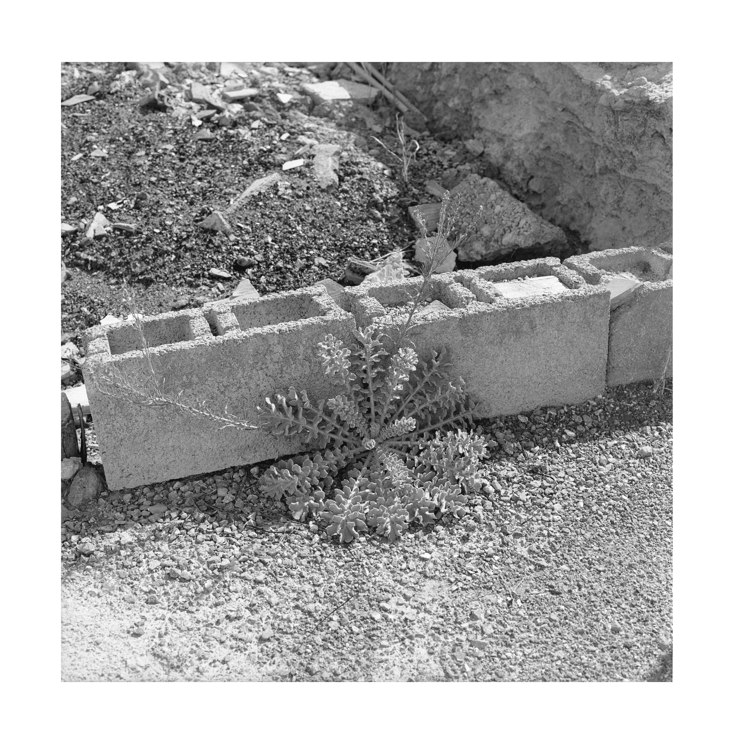 Portfolio_SqSp_StianFoss_051.jpg