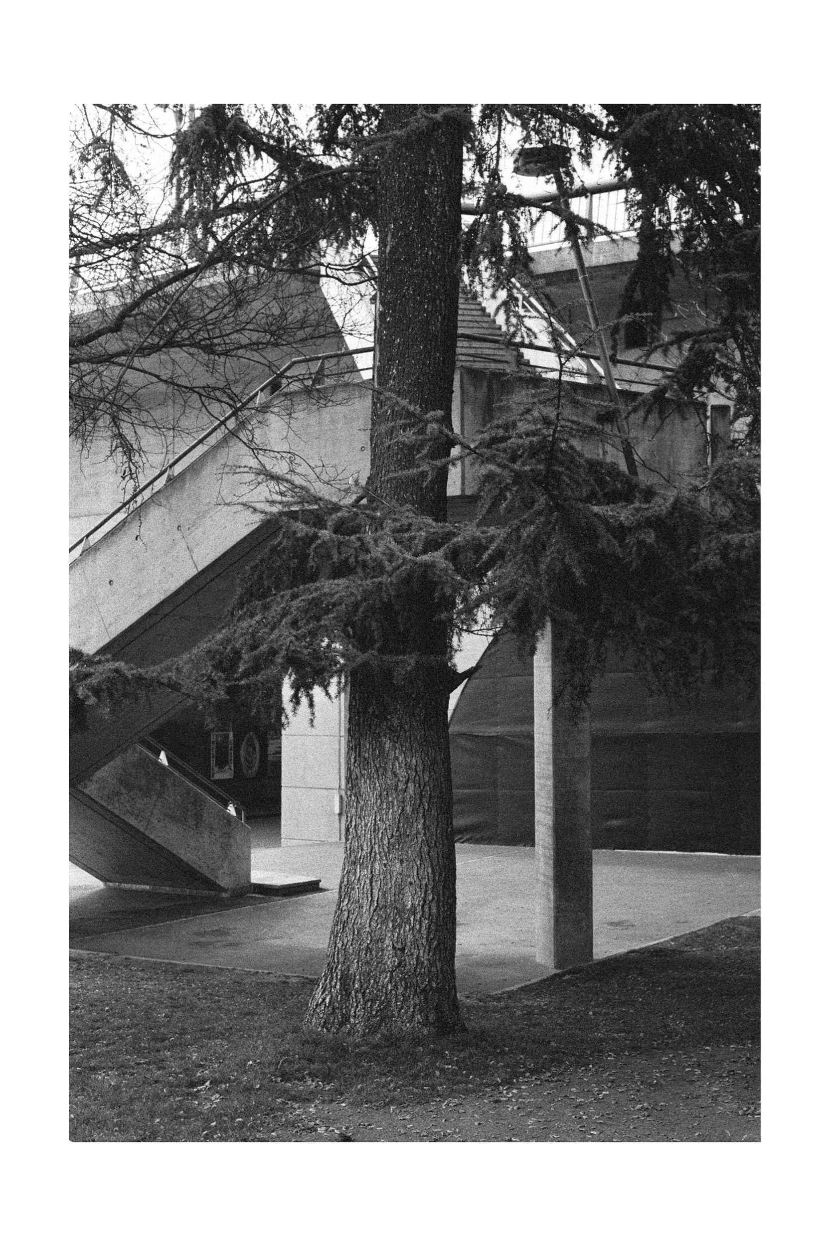 Portfolio_SqSp_StianFoss_057.jpg