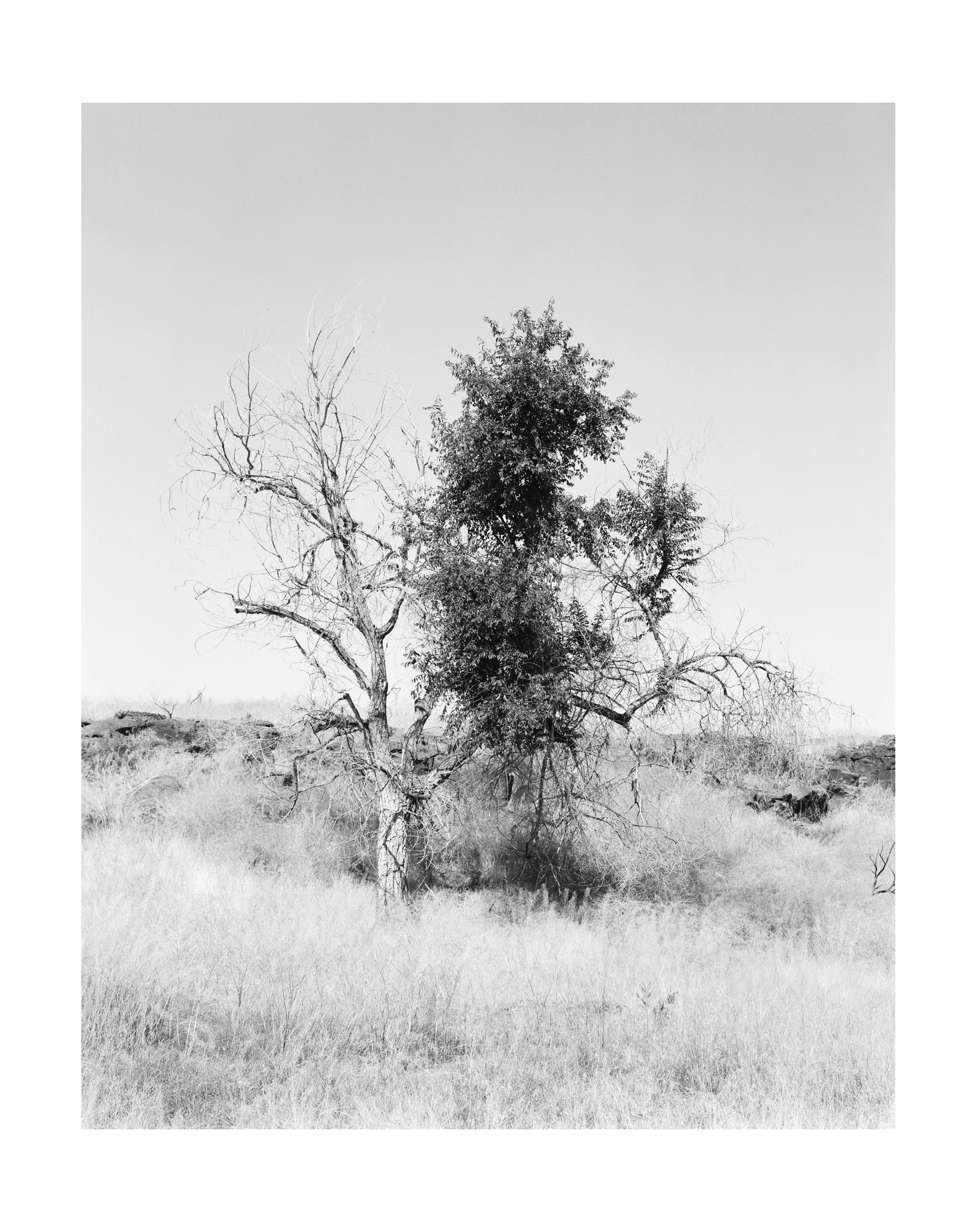Portfolio_SqSp_StianFoss_061.jpg