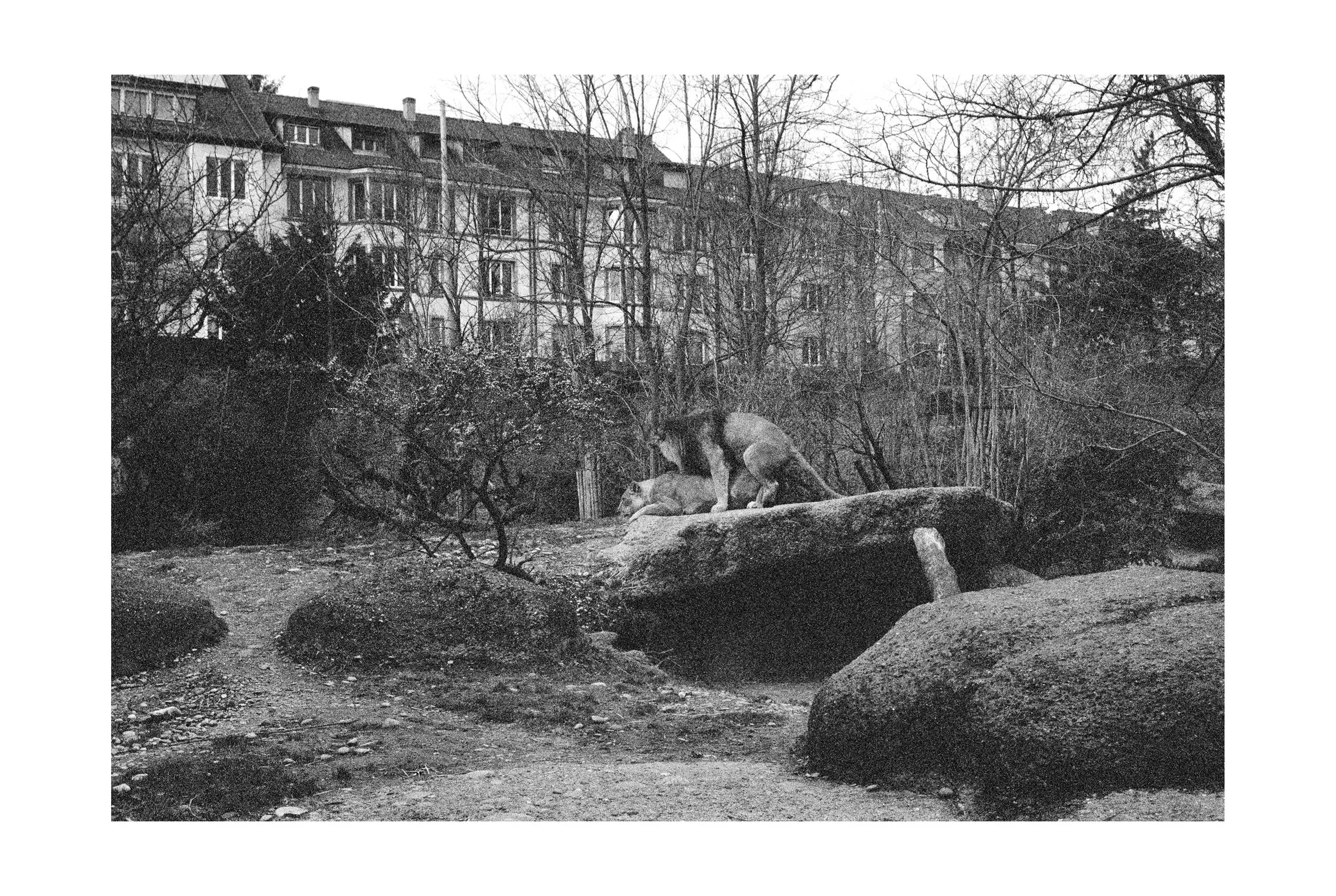 Portfolio_SqSp_StianFoss_070.jpg