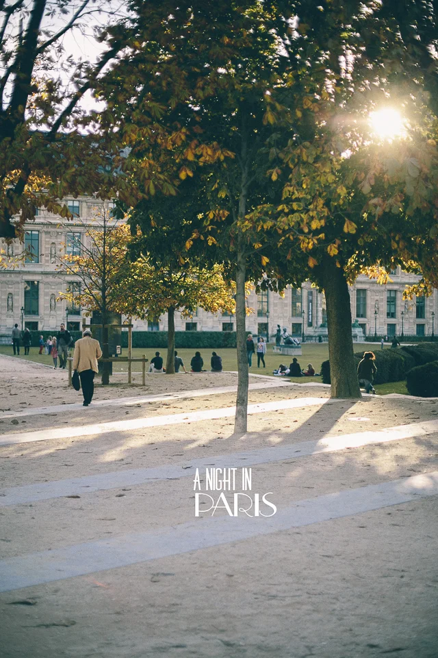 Paris-9.jpg