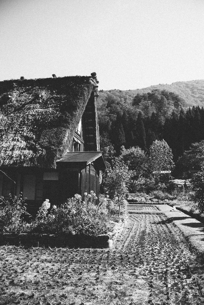 unpublised japan-12.jpg