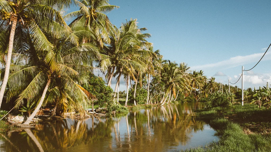Kuala Kurau-15.jpg