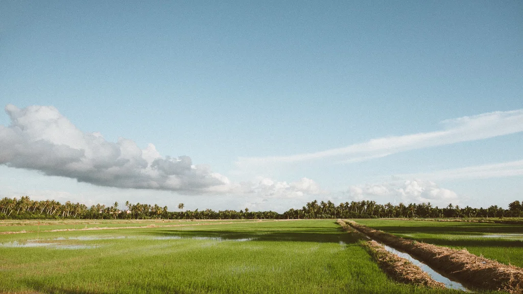 Kuala Kurau-18.jpg