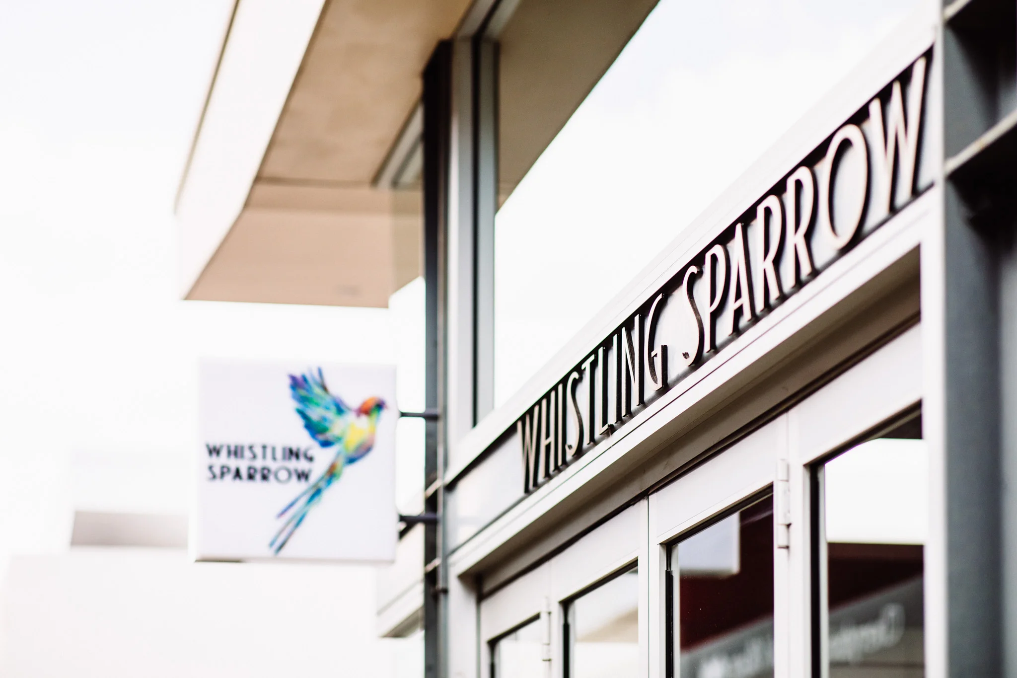 Jasper_Avenue_Whistling_Sparrow.jpg