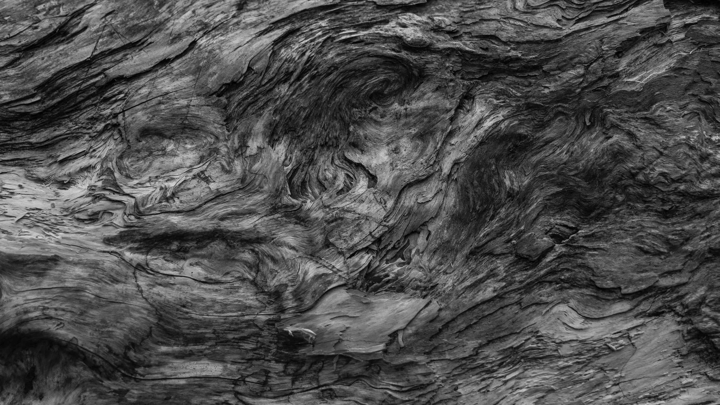 The House on the Rock